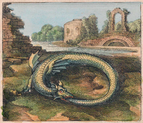 Alchemical illustration of a withering vine with ripe and rotting fruit